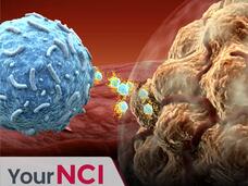 How Decades of NCI Support Led to Groundbreaking Discoveries: The Story of Immune Checkpoint Inhibitors
